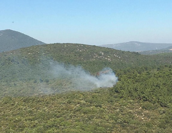 Urla'da korkutan orman yangını kontrol altına alındı