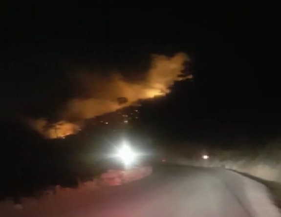 Menderes'te ormanlık alandaki yangın kontrol altına alındı