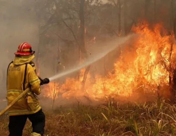Urla'da korkutan orman yangını ekipler müdahale ediyor