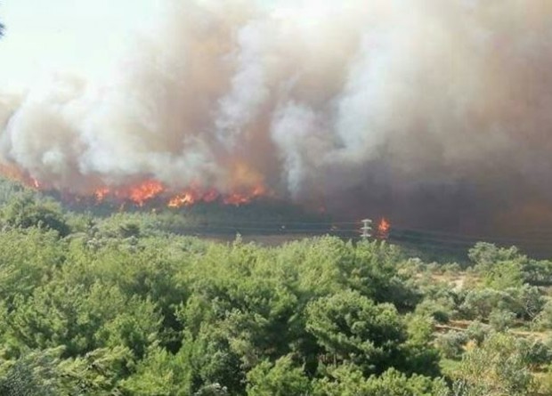 Hatay'da trafo patladı; yerleşim bölgesini saran yangını söndürme çalışmaları sürüyor