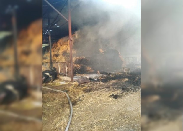 Denizli'de ahırda yangın; 23 büyükbaş öldü