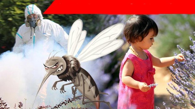 İstanbul sivrilerin buluşma noktası oldu! İşte sivrisinekten korunma kılavuzu...