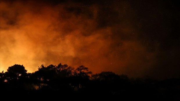 İzmir'de çıkan orman yangını 11 saat sonra kontrol altına alındı