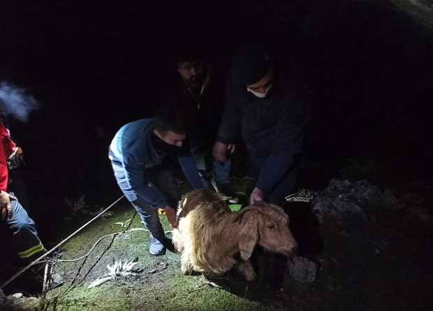 İzmir'de kayalıklarda mahsur kalan keçi kurtarıldı