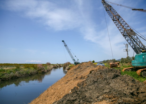 Küçük Menderes Nehri'nde çalışmalar sona yaklaştı... 88 kilometrelik alan temizlendi