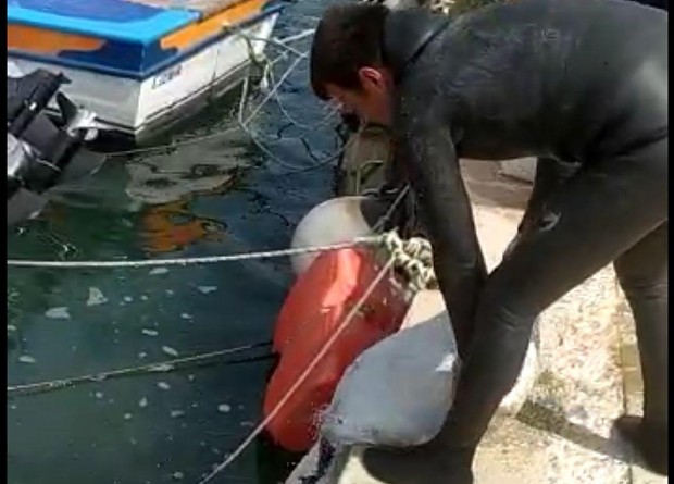 İzmir'de deniz patlıcanı avlayan 6 kişiye 44 bin 574 TL ceza