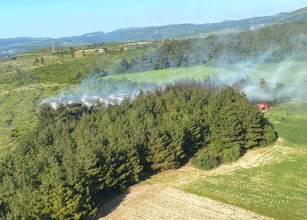 Soma'da orman yangını! 1 hektar alan tahrip oldu