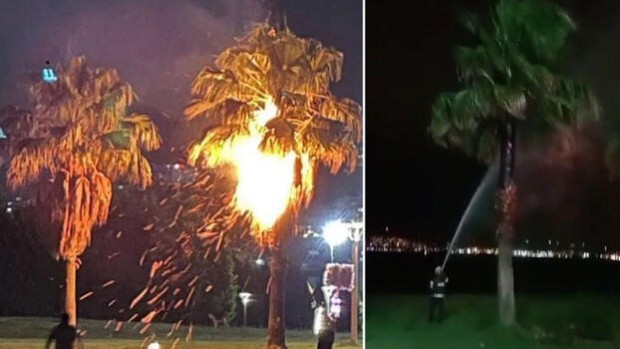 Dilek feneri palmiye ağacını yaktı