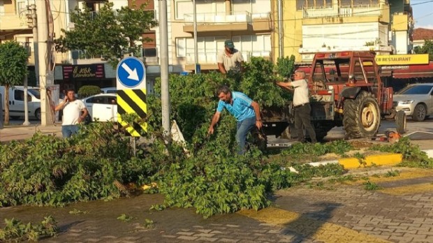 İzmir'de kuvvetli rüzgar ağaçlar devirdi!