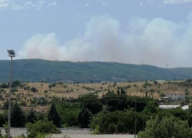 İzmir'de orman yangını! Kontrol altına alındı