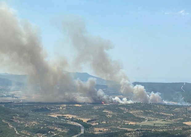 Foça'da orman yangını! Kontrol altına alındı