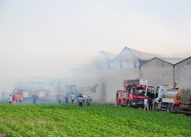 Manisa'da entegre tesiste çıkan yangın korkuttu: 350 ton saman küle döndü