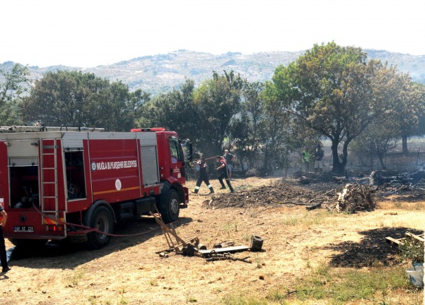 Marmaris'teki orman yangınında soruşturma başlatıldı... Çıkış nedeni için özel ekip kuruldu 