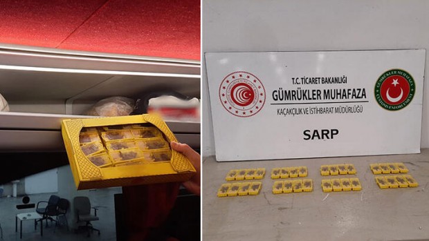 Türkiye'ye kaçak sokulmak istenen arılara el koyuldu