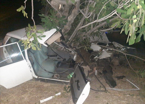 Aydın'da ağaca çarpan otomobilin sürücüsü yaralandı