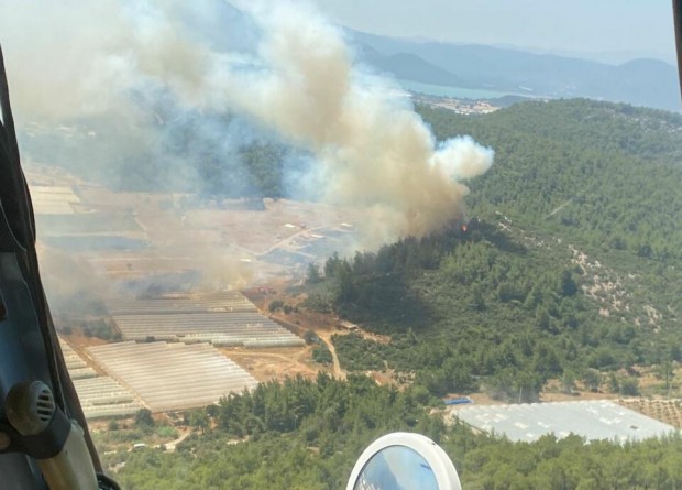 İzmir'de serada yangın! Rüzgarın etkisiyle ormana sıçradı... Kontrol altına alındı