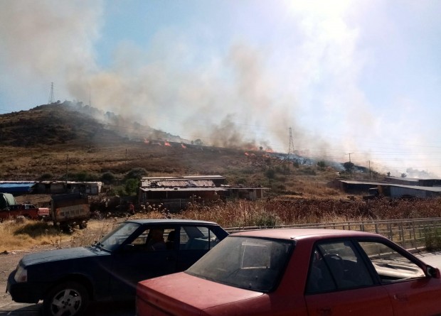 İzmir'in iki ilçesinde orman ve otluk yangını 