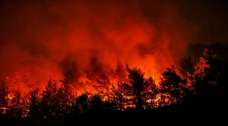 İzmir’de orman yangını teyakkuzu