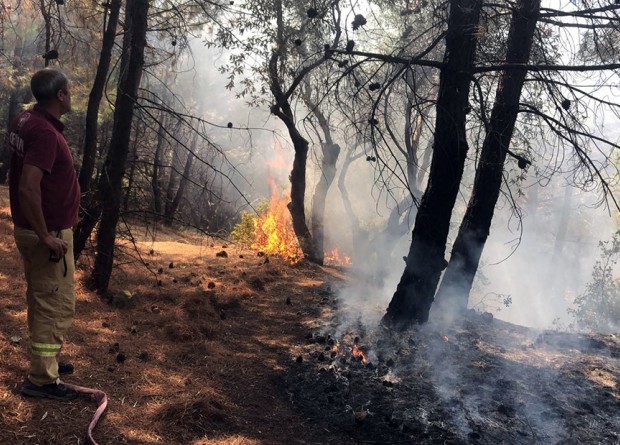 Manisa'da orman yangını!  45 dakikada kontrol altına alındı