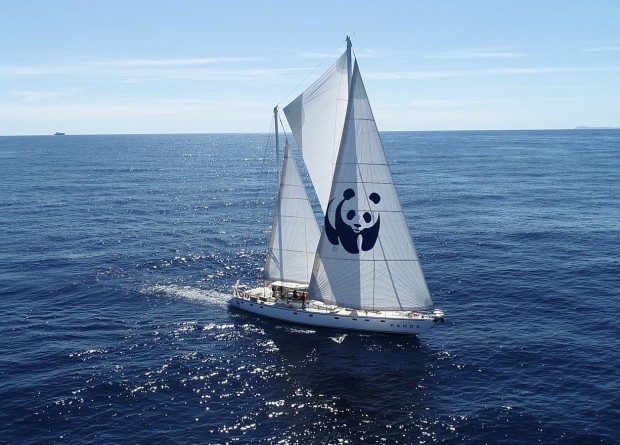 WWF’in Blue Panda yelkenlisi Çeşme’de! İzmir 2030’a kadar Plastik Atıksız Şehir olacak