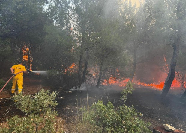 Bergama'da orman yangını: Kontrol altına alındı