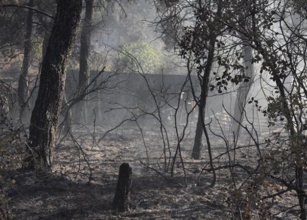 İzmir'de 2,5 saat süreni orman yangınının nedeni belli oldu