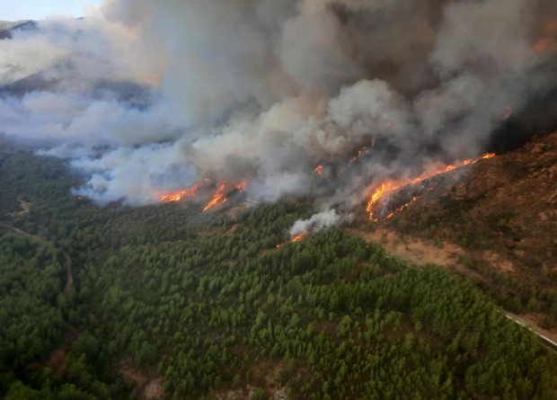 Marmaris'teki orman yangınında acı bilanço! 500 hektar alan kül oldu