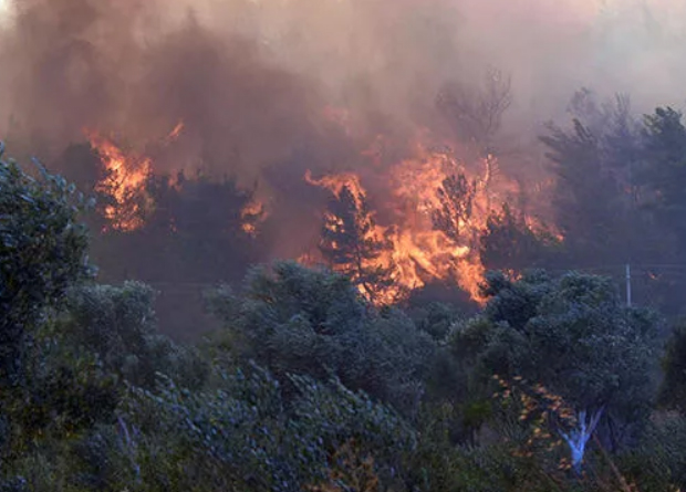 Menderes'teki orman yangınıyla ilgili flaş gelişme! 5 yıl ceza yedi beraat etti