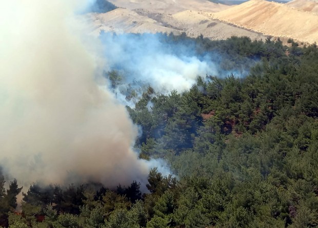 Mersin'in ardından bir orman yangını da Manisa'da çıktı! 2 saatte kontrol altına alındı