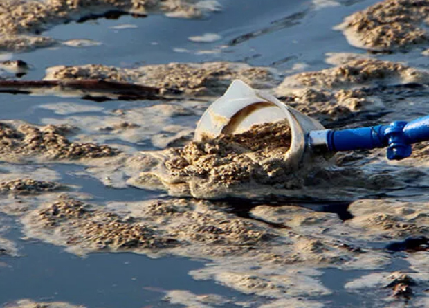 Meriç Nehri'nde beyaz köpük alarmı: İncelemeye alındı