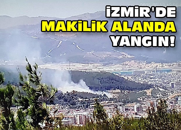 İzmir'de makilik alanda yangın!