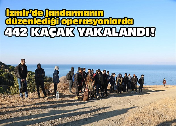 İzmir'de jandarmanın düzenlediği operasyonlarda 442 kaçak yakalandı!