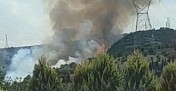 Kocaeli'de ormanlık alanda yangın