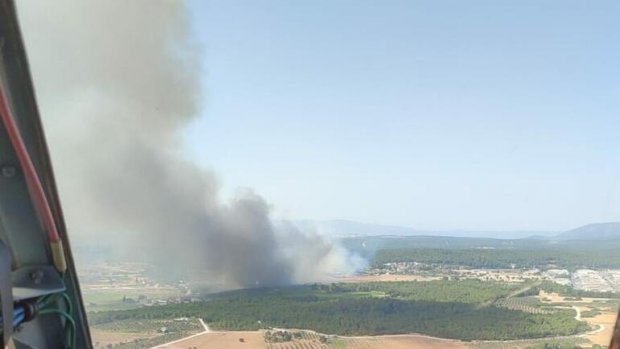 İzmir'de orman yangını 