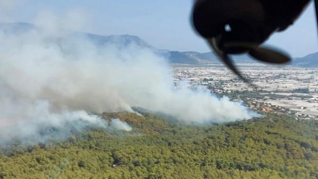 Muğla'da orman yangını! Vatandaşlar seferber oldu