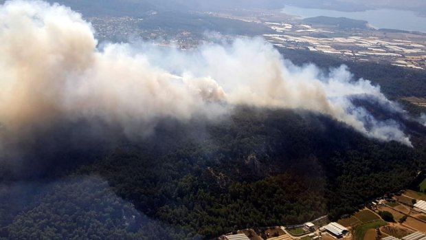 Menderes'te orman yangını