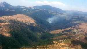 İzmir'de ormanlık alanda yangın! Kontrol altına alındı